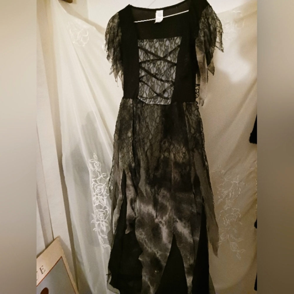 "PRINCESS FIONA"..SHREK.. DRESS/WIG COSTUME SET..GREY/BLACK..SZ.14-16 ADULT